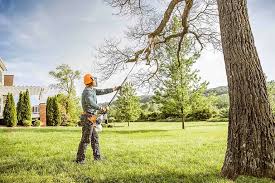 How Our Tree Care Process Works  in  Malvern, PA