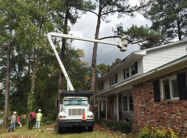 Malvern, PA Tree Care Company